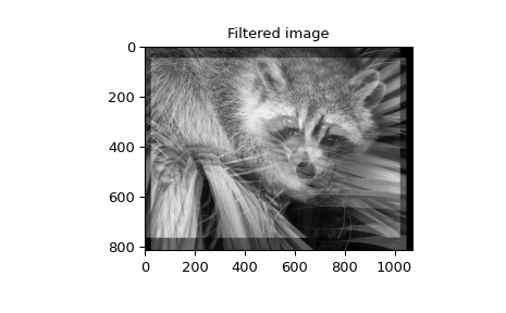 "This code displays two plots. The first plot is the familiar photo of a raccoon climbing on a palm. The second plot has the FIR filter applied and has the two copies of the photo superimposed due to the twin peaks manually set in the filter kernel definition."
