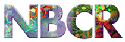 nbcrlogo.gif